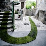 Greencarpet (4)