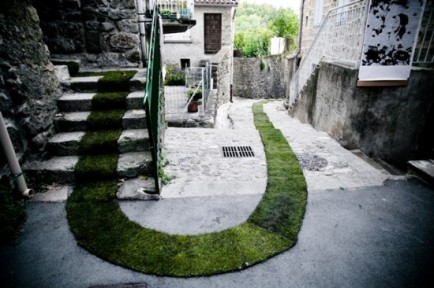 Greencarpet (4)