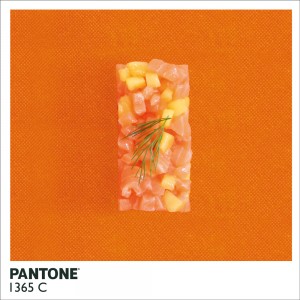 Pantone  (6)